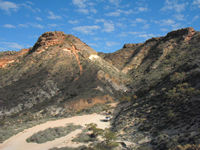 Wombat from the ookout, Shotover Canyon